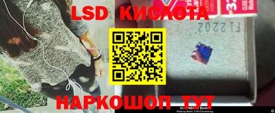 эйфоретик Аргун
